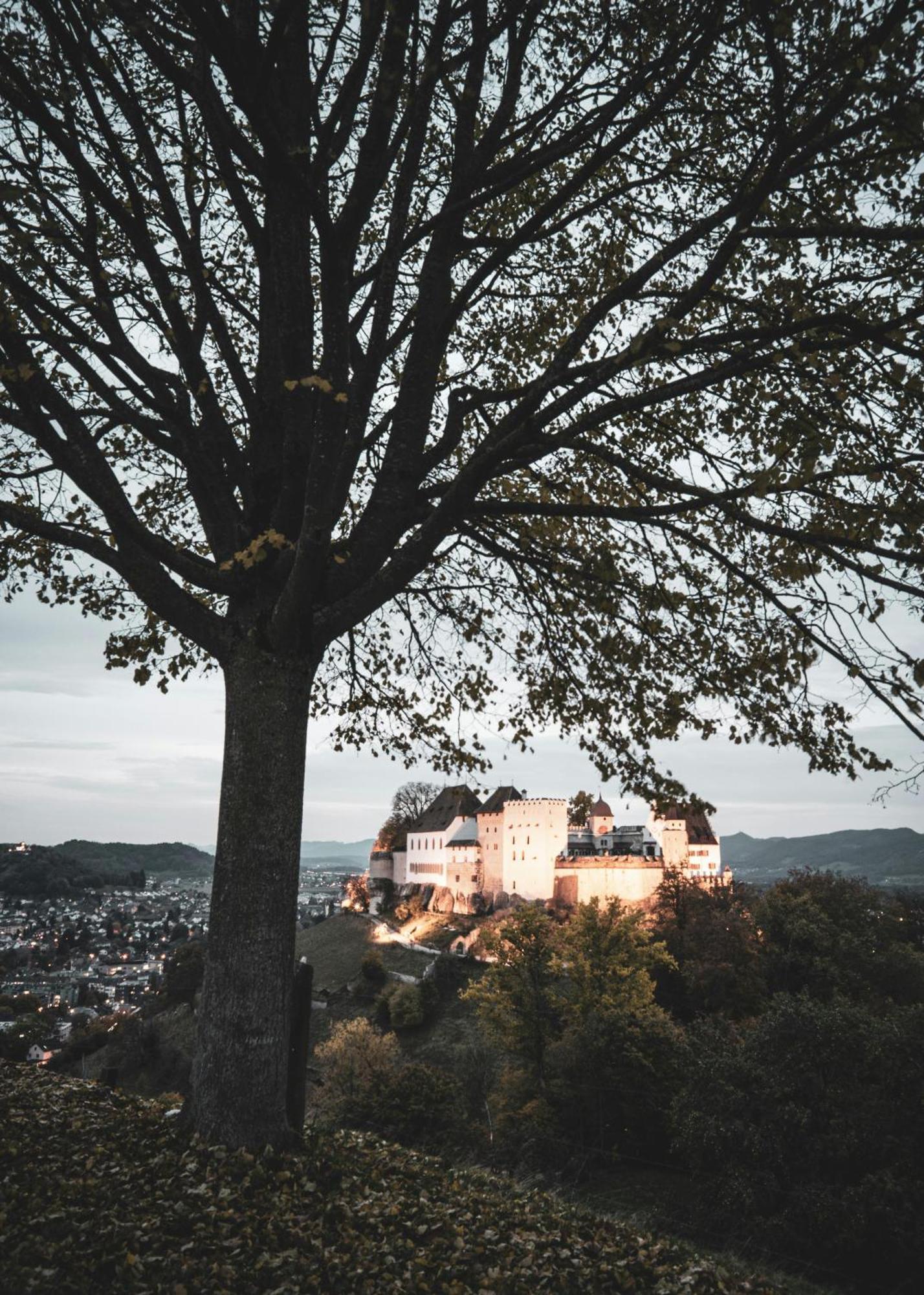 Villa Musica - Studio, Ruhig, Diskret,Mit Grossem Privatem Sitzplatz Lenzburg Kültér fotó